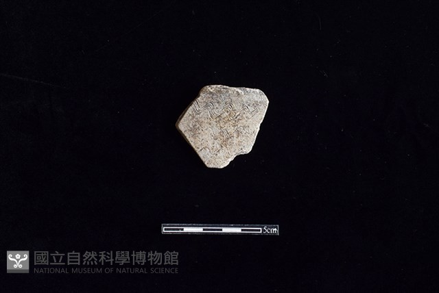陶罐藏品圖，第1張