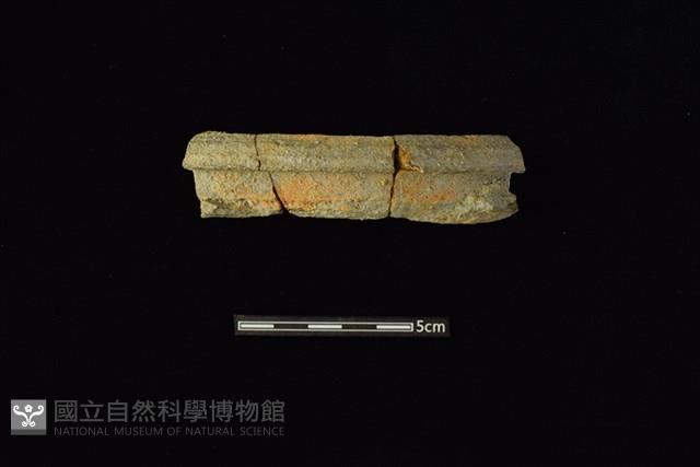 Accession Number:HLL-I PT2453 Collection Image, Figure 1, Total 2 Figures