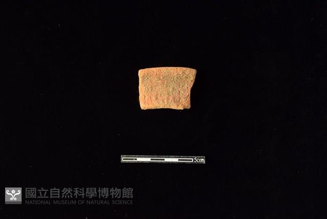 陶罐藏品圖，第1張