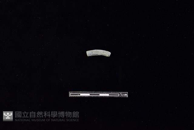 Accession Number:HLL-H PT0953 Collection Image, Figure 1, Total 2 Figures