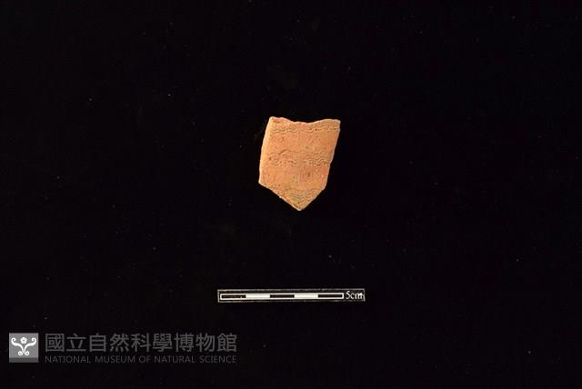 陶片藏品圖，第1張