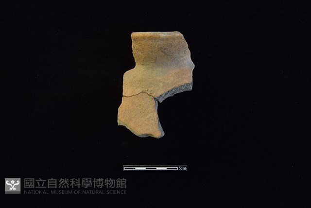 陶罐藏品圖，第1張