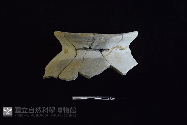 陶罐藏品圖，第1張