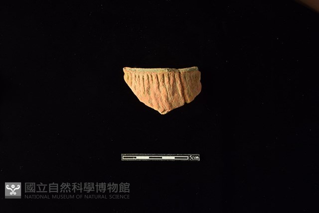 陶片藏品圖，第1張