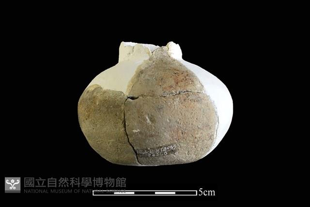 陶瓶藏品圖，第1張