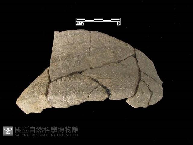 陶片藏品圖，第1張