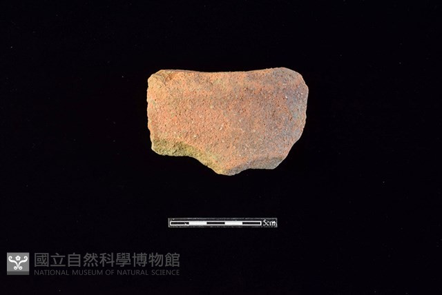 陶片藏品圖，第1張