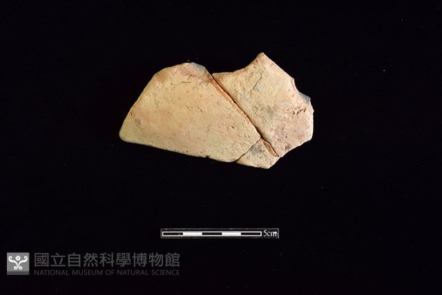 陶片藏品圖，第1張