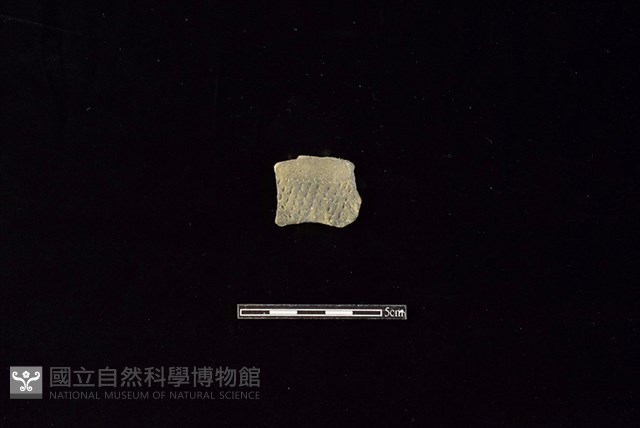 陶片藏品圖，第1張