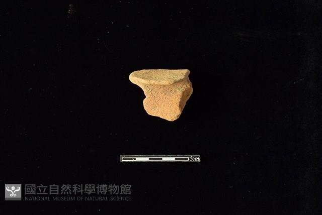 陶片藏品圖，第1張