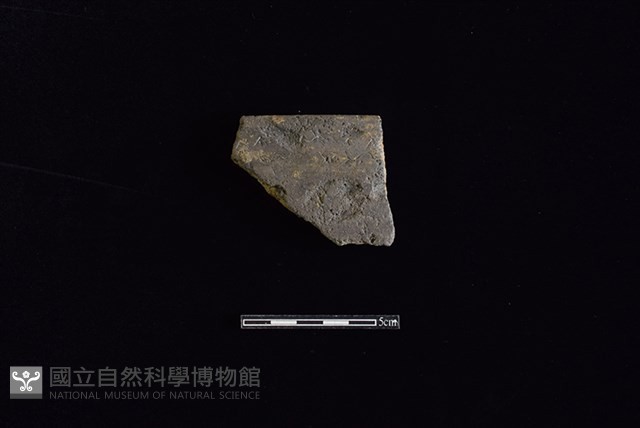 陶罐藏品圖，第1張