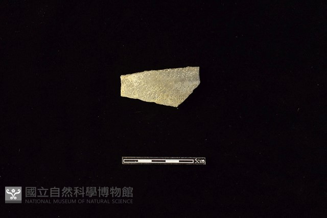 陶片藏品圖，第1張