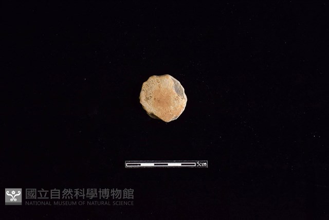 陶片藏品圖，第1張