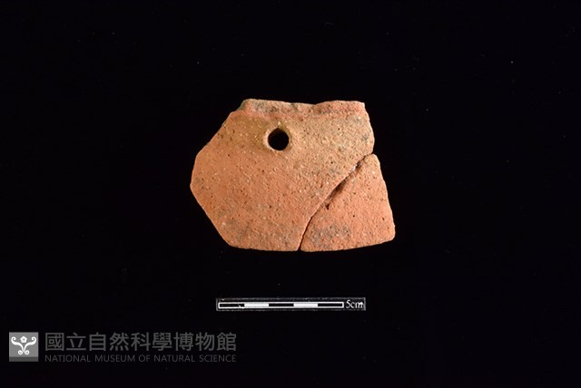 陶片藏品圖，第1張