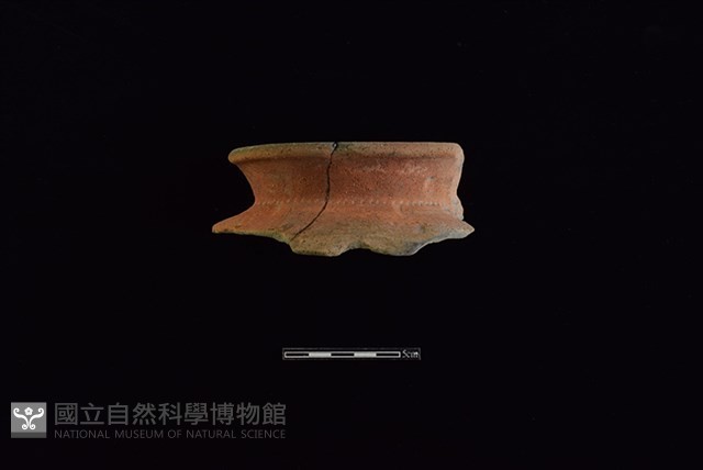 陶罐藏品圖，第1張