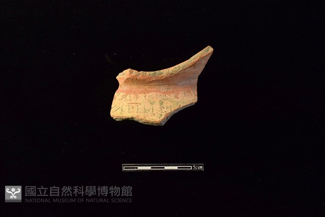 陶罐藏品圖，第1張