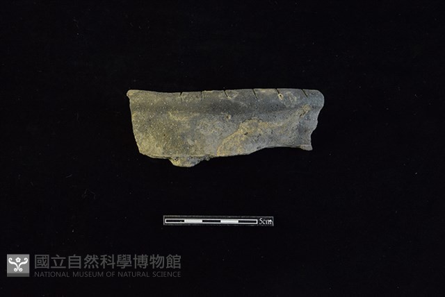 陶罐藏品圖，第1張
