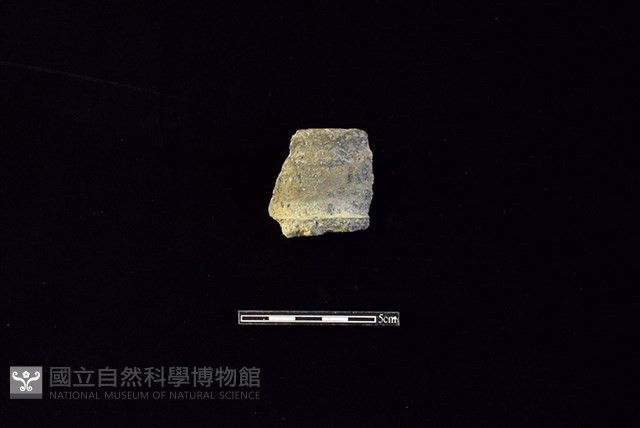 陶罐藏品圖，第1張
