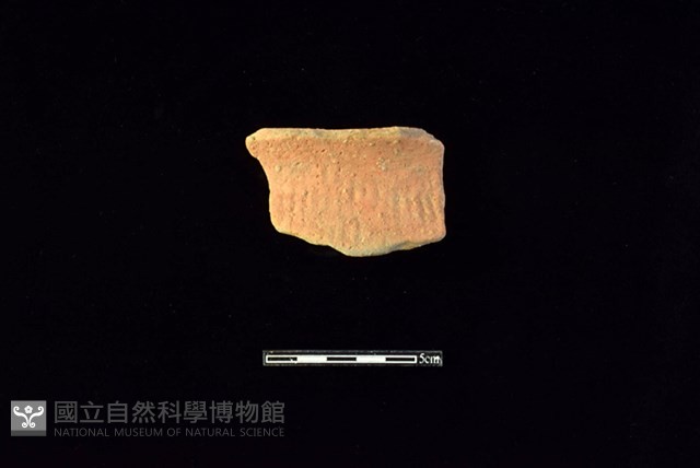 陶罐藏品圖，第1張