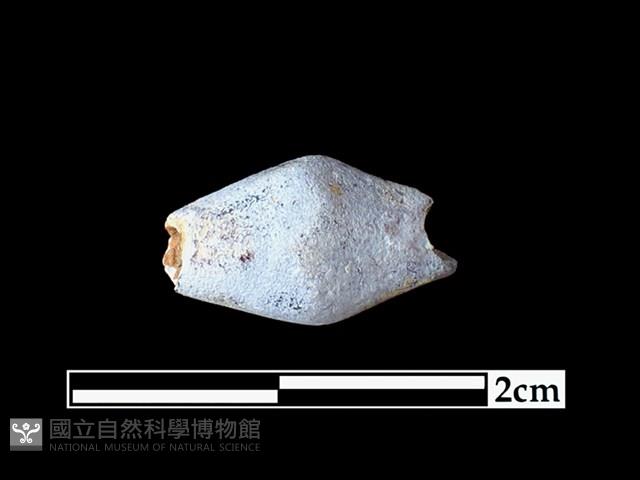 玻璃珠藏品圖，第1張
