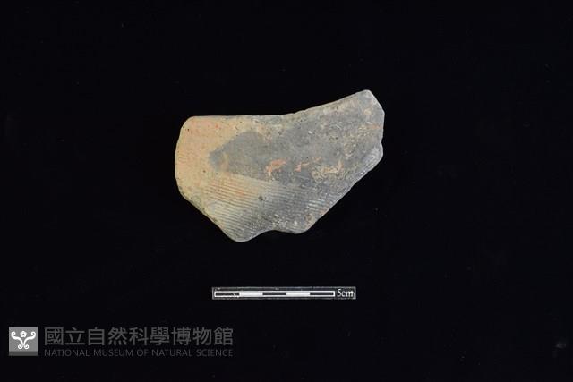 陶片藏品圖，第1張