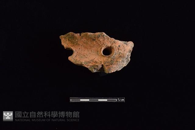 陶片藏品圖，第1張