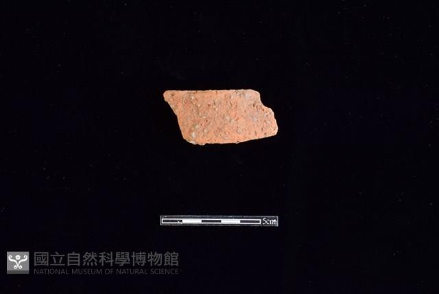 陶片藏品圖，第1張