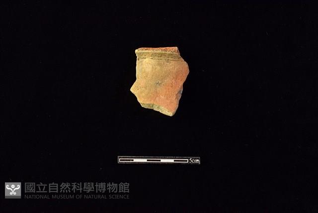 陶罐藏品圖，第1張