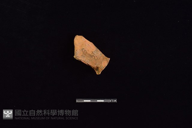 連杯形器藏品圖，第1張