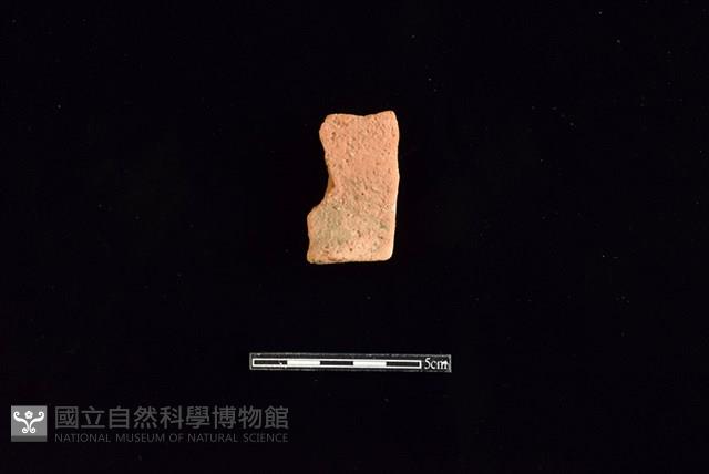 陶罐藏品圖，第1張