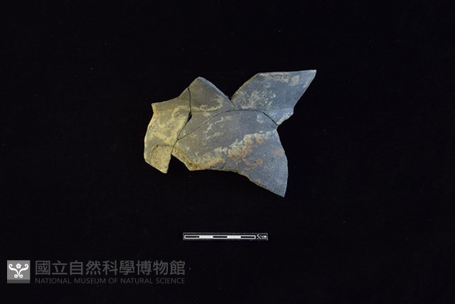 陶罐藏品圖，第1張
