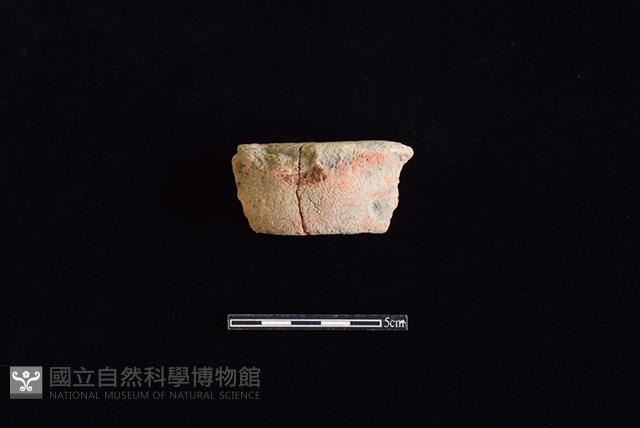 陶片藏品圖，第1張