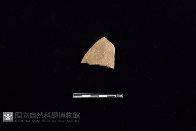 陶片藏品圖，第1張