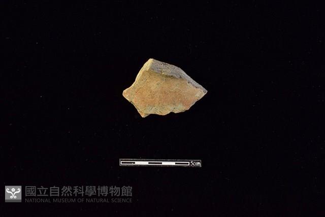 陶罐藏品圖，第1張