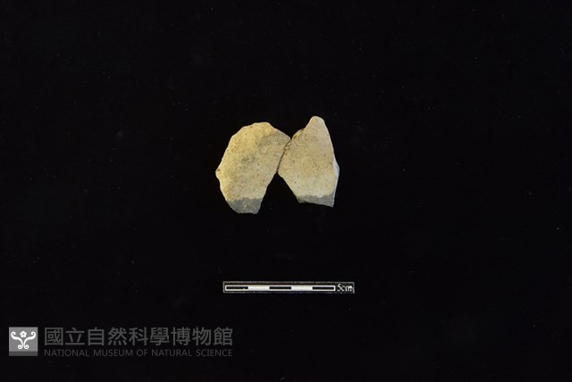 陶片藏品圖，第1張