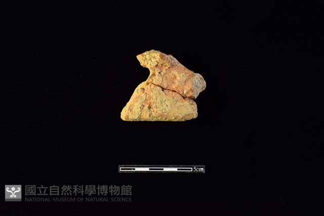 陶片藏品圖，第1張