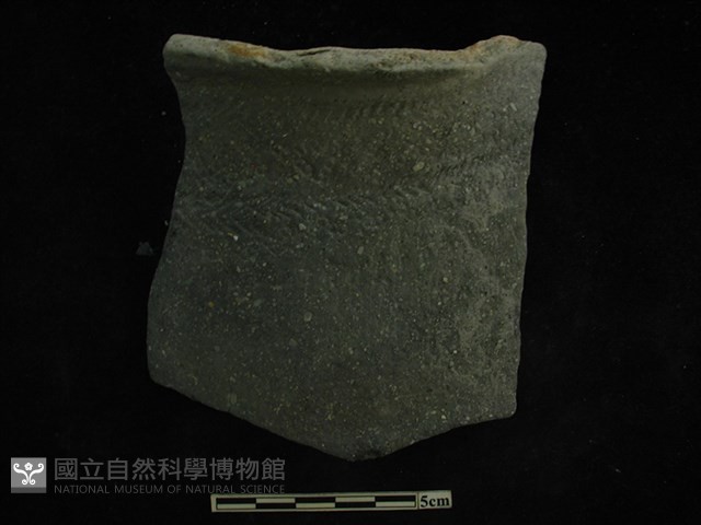 陶片藏品圖，第1張