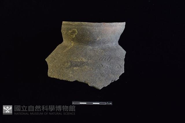 陶罐藏品圖，第1張