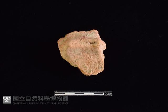 陶片藏品圖，第1張