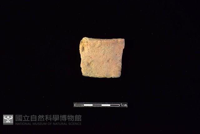 陶片藏品圖，第1張