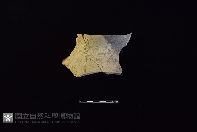 陶罐藏品圖，第1張