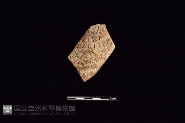 陶片藏品圖，第1張