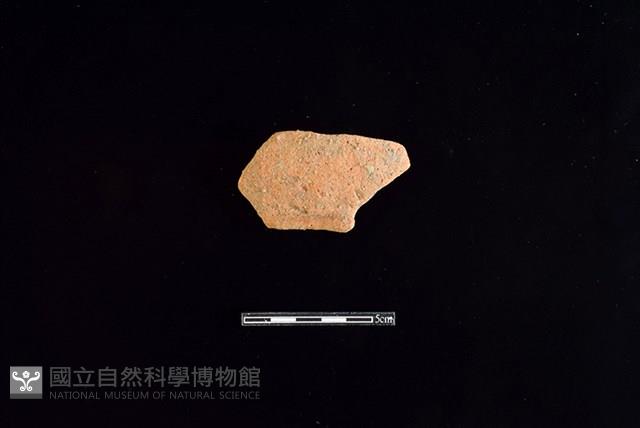 陶罐藏品圖，第1張