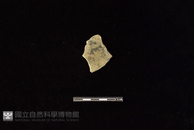 陶片藏品圖，第1張