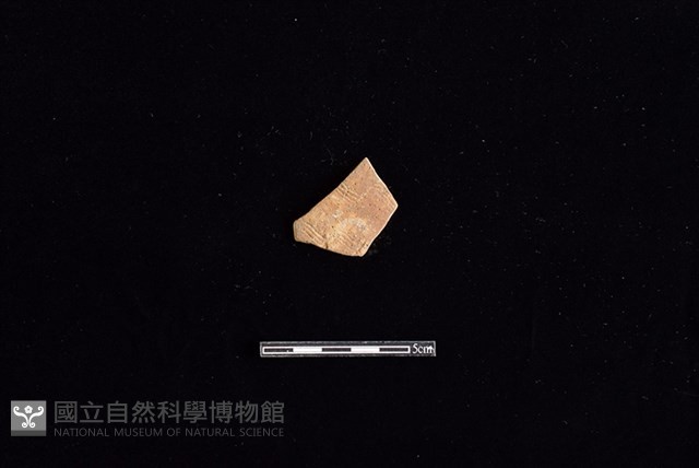 陶片藏品圖，第1張