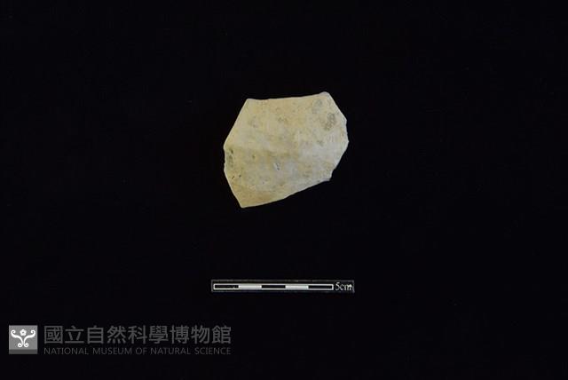 陶片藏品圖，第1張