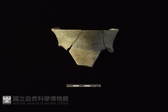 陶罐藏品圖，第1張
