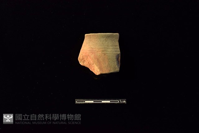 陶罐藏品圖，第1張