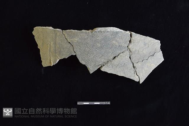 陶片藏品圖，第1張