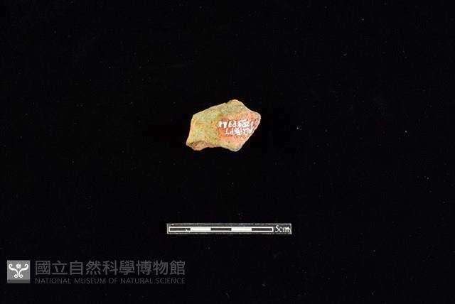 陶片藏品圖，第1張